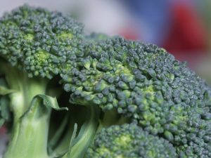 is broccoli bad for you? 