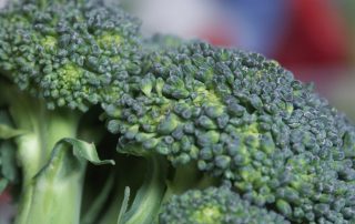 broccoli bad for you, food allergy test, broccoli and health, broccoli good or bad, food allergies