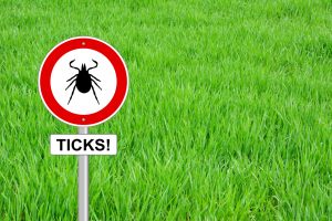 Find Out if You Have Lyme with this Simple Test