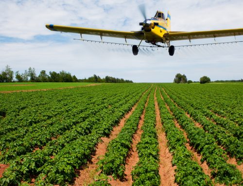 What Foods Have the Most Pesticides?
