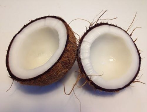The Coconut Oil Debate – Is it Really Good or Bad for You?