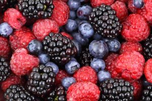 berries and brain power, antioxidants 