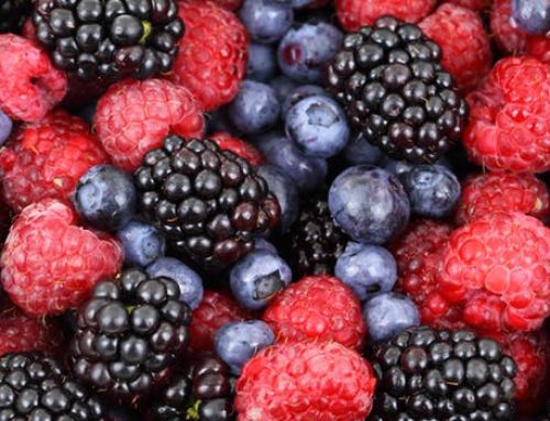 Eat More Berries For Greater Brain Power
