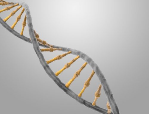 MTHFR: Find Out if You Have The MTHFR Gene Mutation & What to Do.