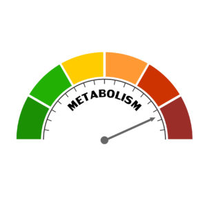metabolism test 