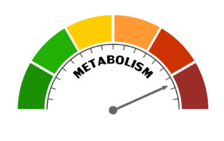 metabolic panel test
