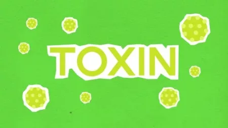 toxins in body, toxins test