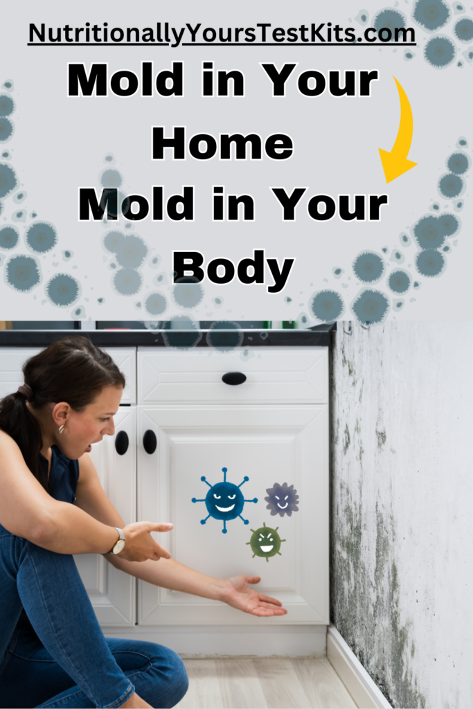 symptoms of long term mold exposure
