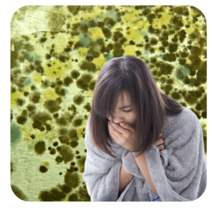 mold sickness | mold toxicity | mold illness | Mold test kit | mold toxicity symptoms