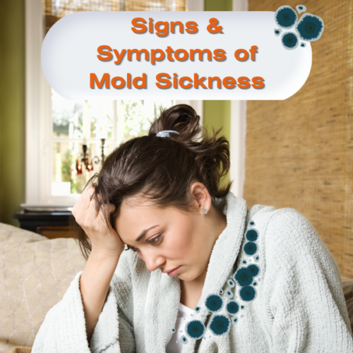 Learn #1 Symptoms of Mold Sickness - How to Get Better Fast