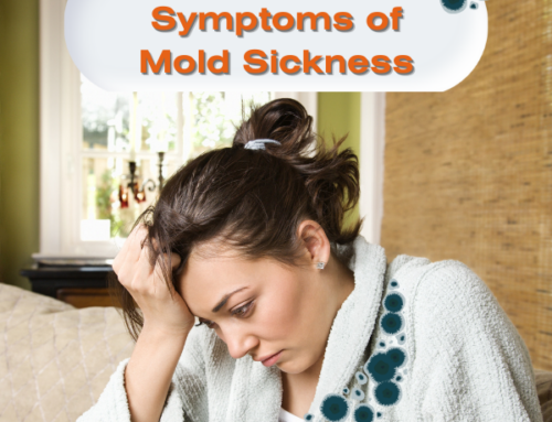Symptoms of Mold Sickness: Unveiling the Unseen Threat