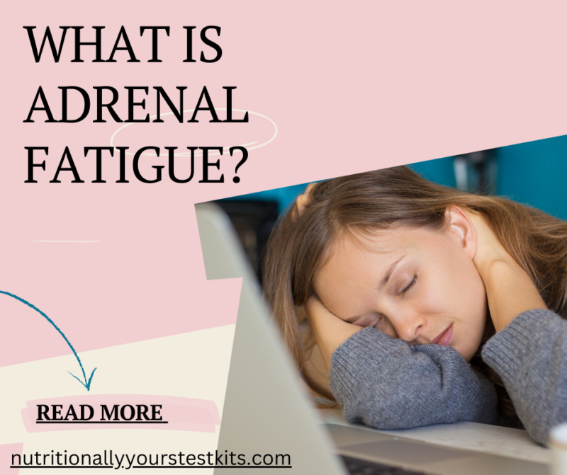 What is Adrenal Fatigue: Symptoms - Stress - Controversy