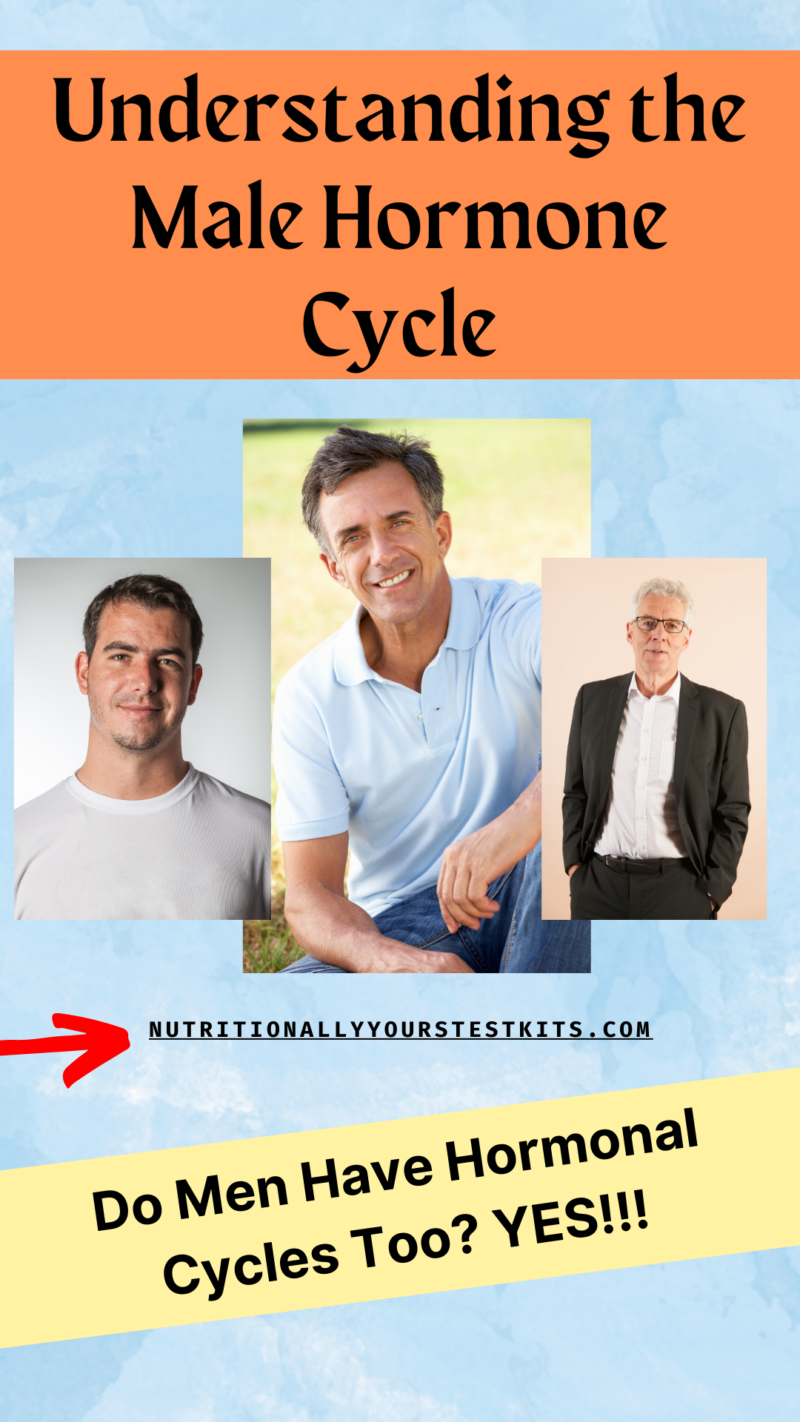 male hormonal cycles